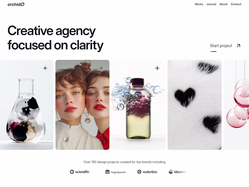 Cover image for Clean Framer Template for Agencies
