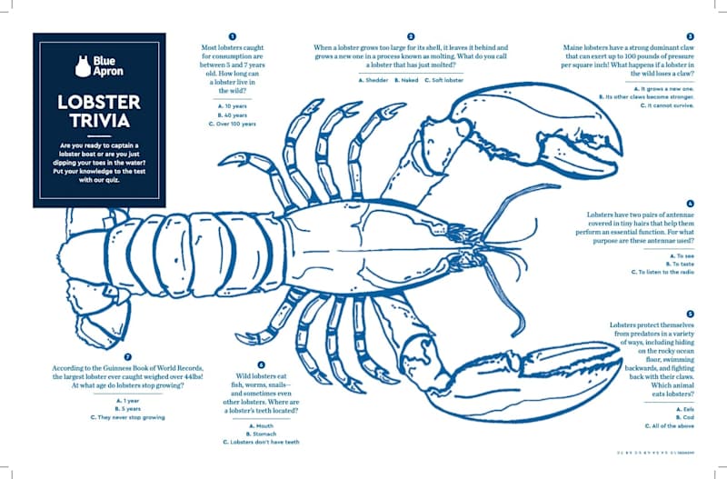 Cover image for The Lobster Box