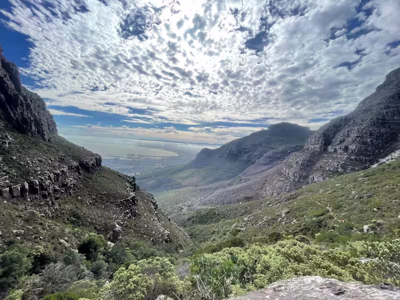 Cover image for Climate & Impact Project Support Sustainability & ESG Learni...