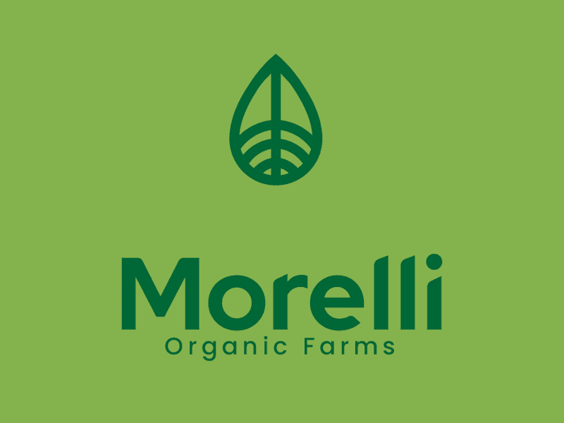 Cover image for Morelli Organic Farms brand identity design