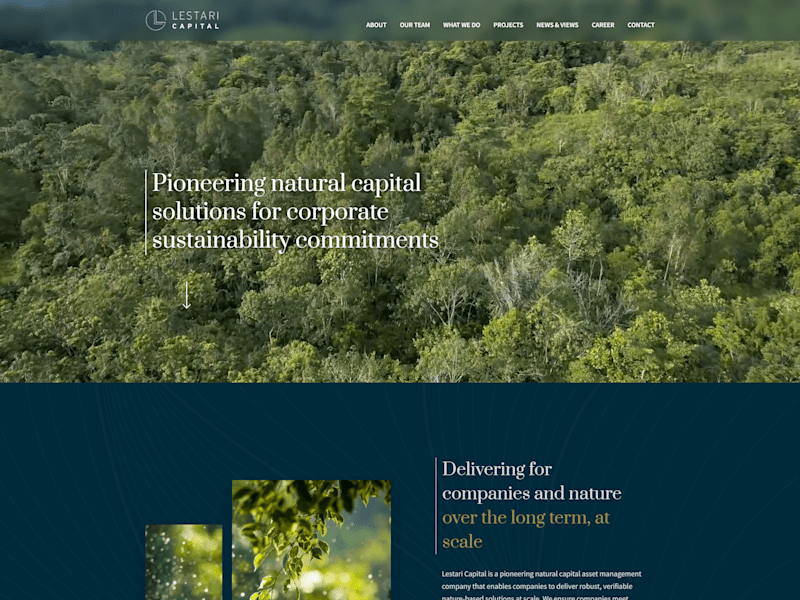 Cover image for Lestari Capital