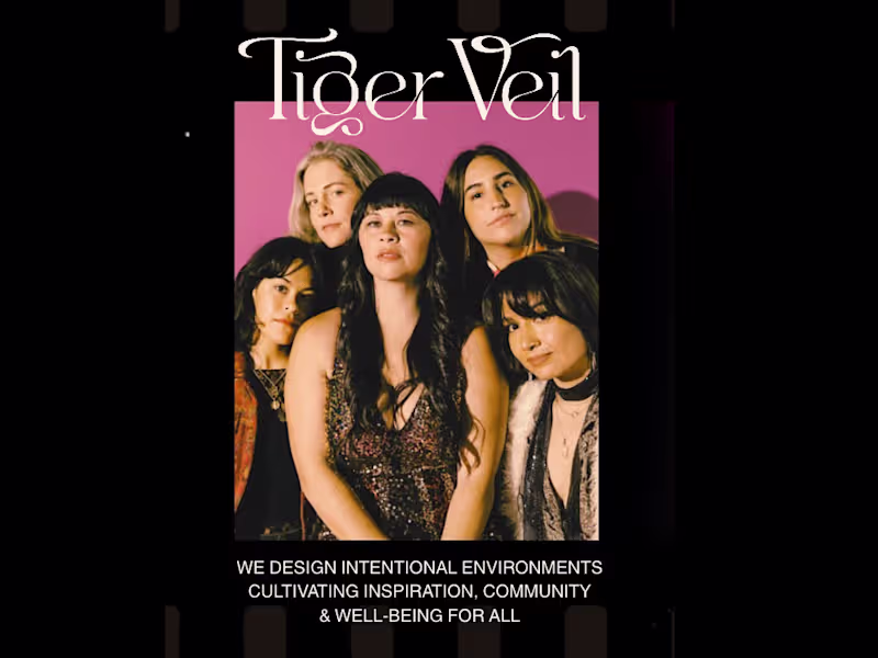 Cover image for Tiger Veil