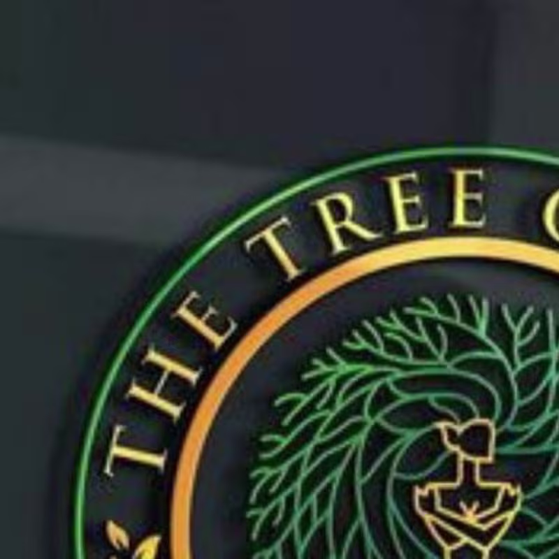 Cover image for |GraphicDesigner |Freelancer |upwork |DesignExpert on Instagram…