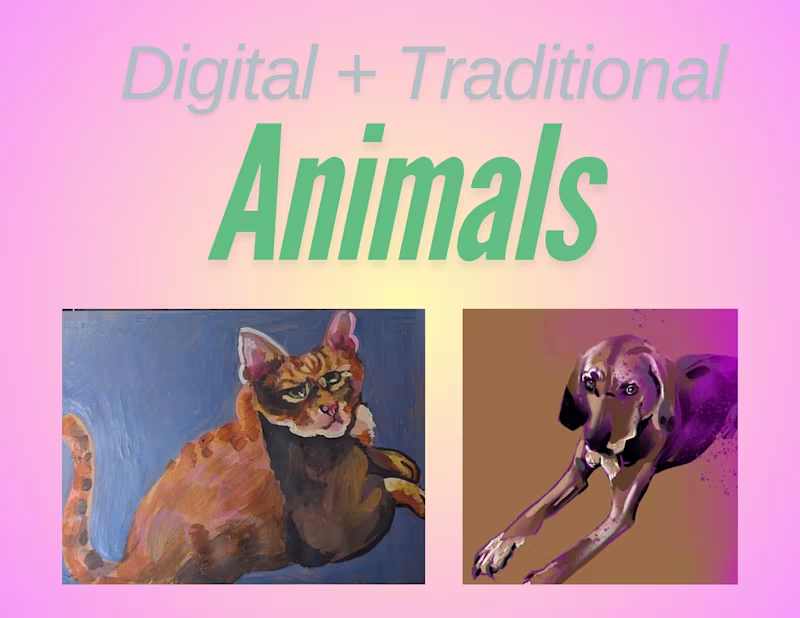 Cover image for Pets And Animals