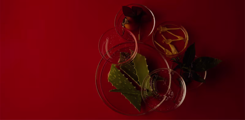 Cover image for Mienne E-commerce Development