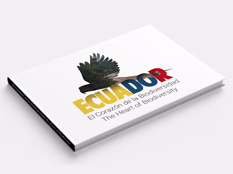 Cover image for Branding - Logo Creation