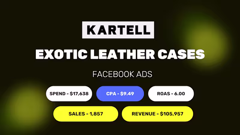 Cover image for KARTELL