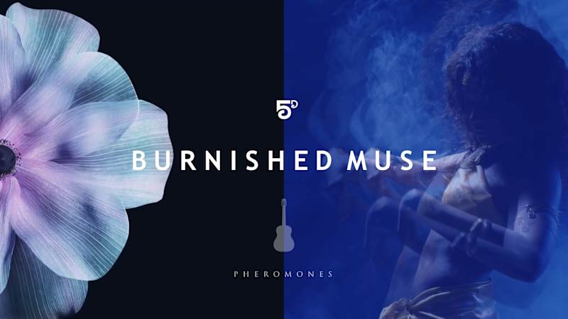 Cover image for "Pheremones" EP Series