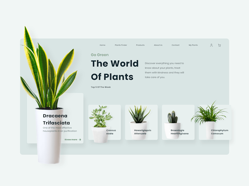 Cover image for Animated App Carousel 
