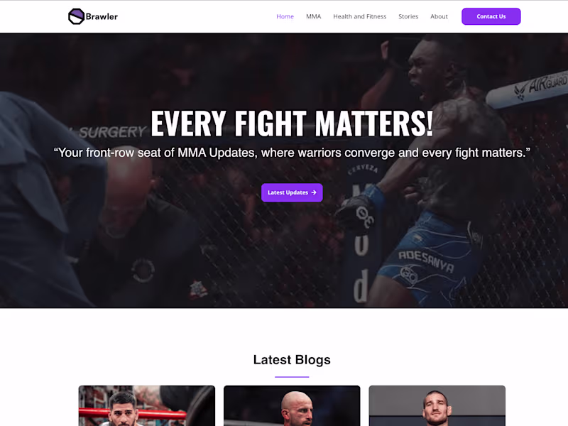 Cover image for Octagon Brawler: Wordpress Website building & SEO
