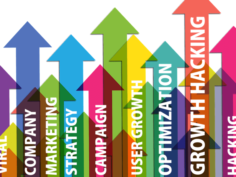 Cover image for Revenue Growth Strategy: Doubling the revenue
