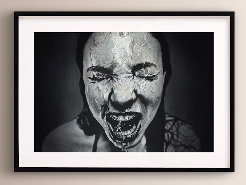 Cover image for Fine Art Painting