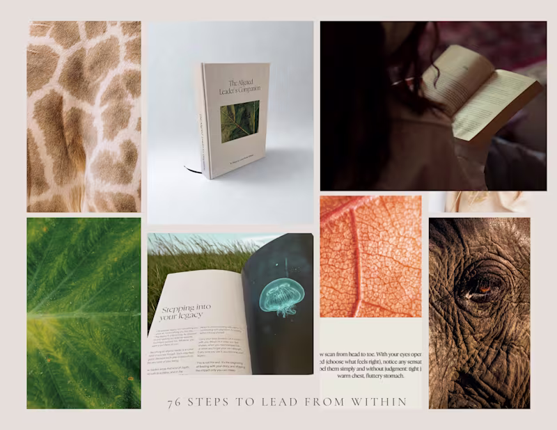 Cover image for I have a toolkit coming out end of this month. A coffee tabl...