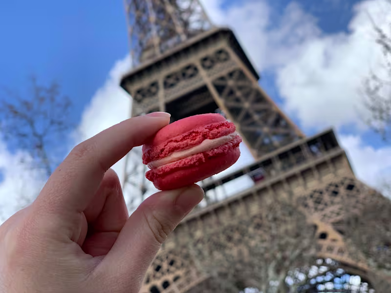 Cover image for Abroad in Barcelona | The Barcelona Blog