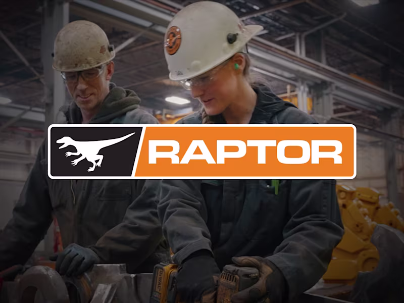 Cover image for Raptor Mining