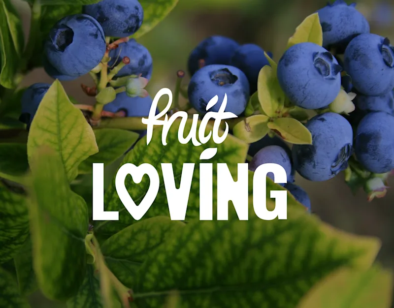 Cover image for Fruit Loving Food Brand Branding & Brand Identity