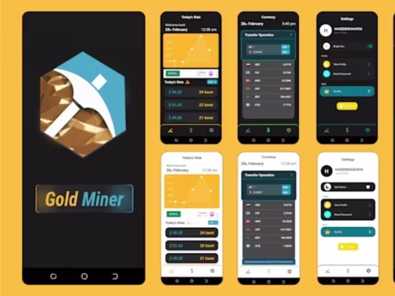 Cover image for Gold Miner