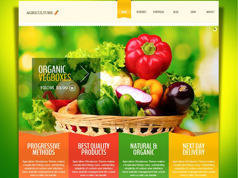 Cover image for Webflow Website for Web design agency