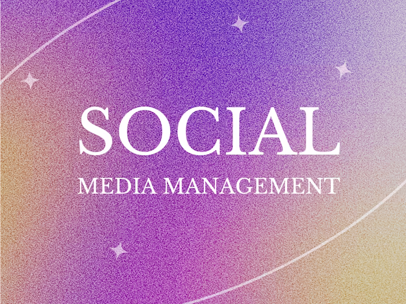 Cover image for Social Media Management: Artist (Music), Brand or Business 🪩 💻