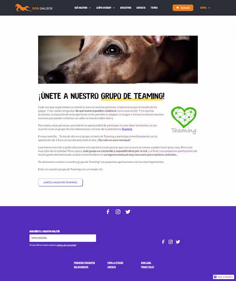 Cover image for SOS Galgos Website