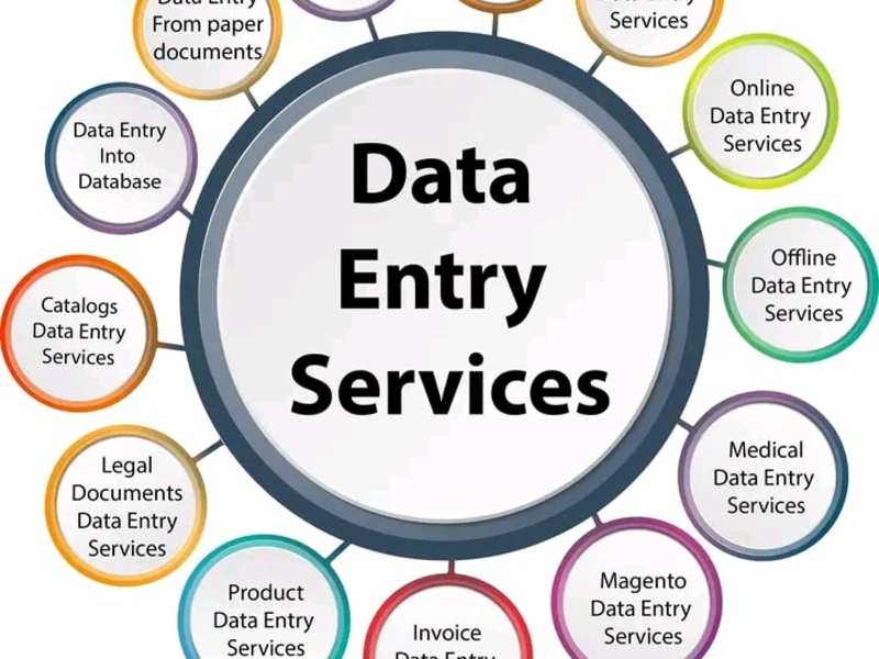 Cover image for Data entry clerk 