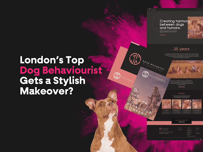 Cover image for London’s Top Dog Behaviourist Gets a Stylish Makeover