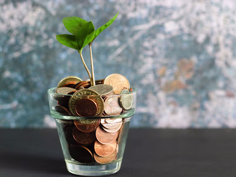 Cover image for 20-something Broke Graduate