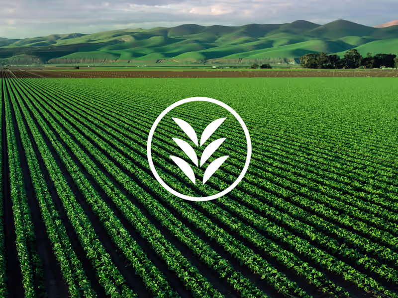 Cover image for Brand Identity Design for Parlor