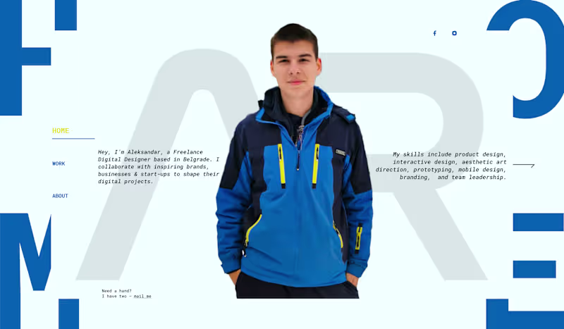 Cover image for WORK IN PROGRES