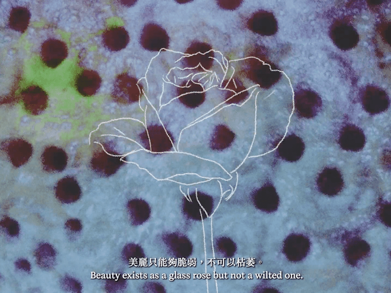 Cover image for Music Composition & Dialogue Mixing