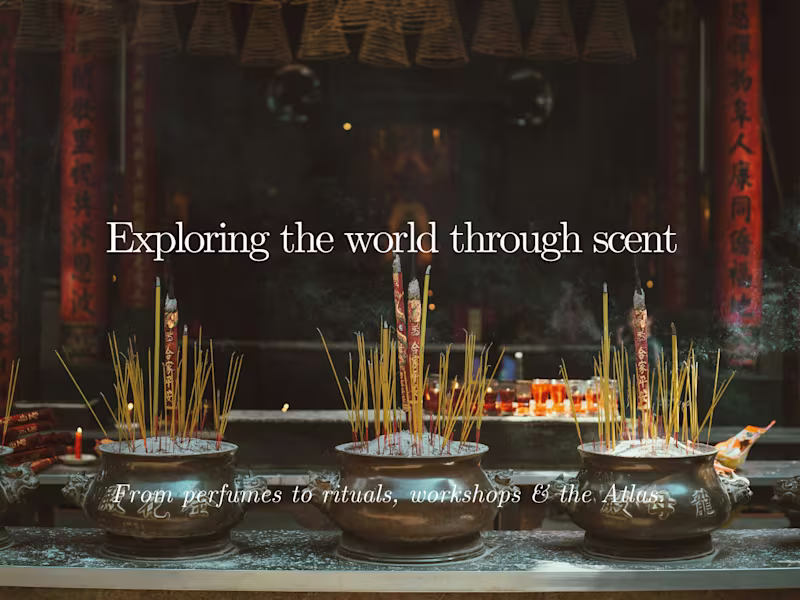 Cover image for Atypical - The Atlas. A