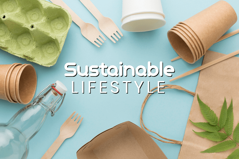 Cover image for Living the Sustainable Lifestyle: Easy Tips for Young Adults