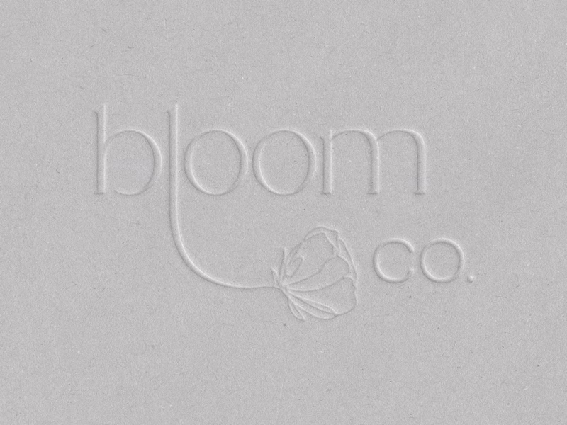 Cover image for Petite Branding Suite