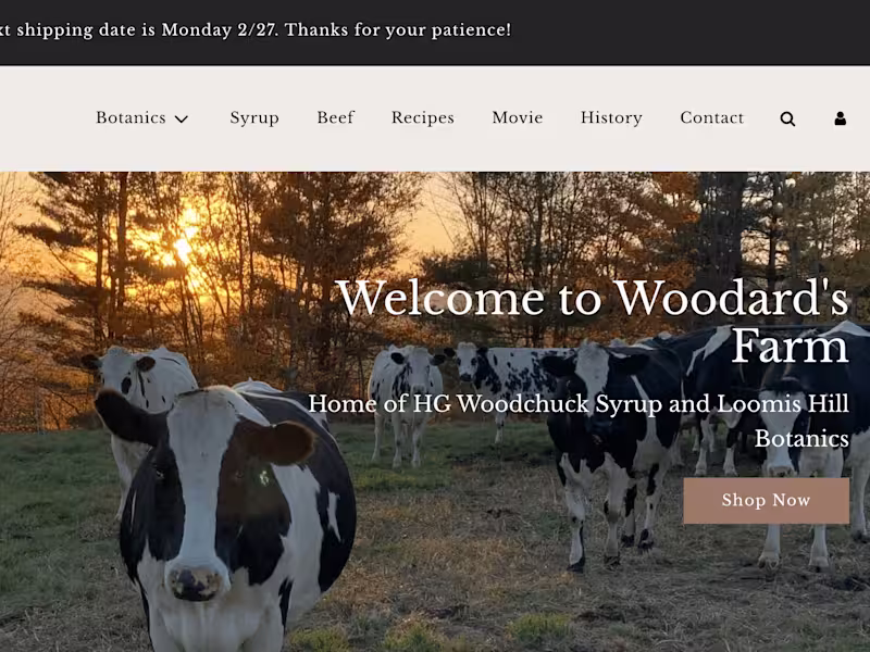 Cover image for Website and Online Shop Design & Development