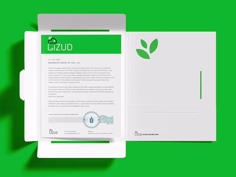 Cover image for Lizud Logo & Brand Identity Design