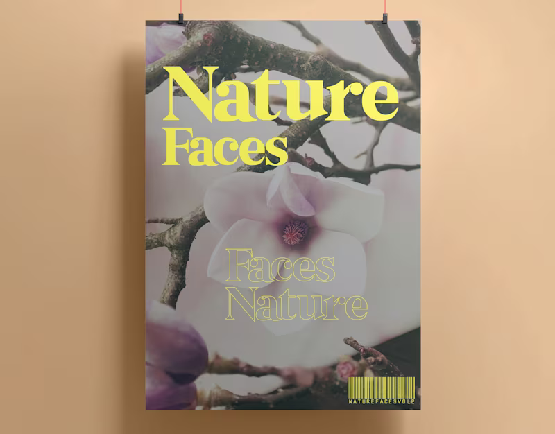 Cover image for Faces Vol.2