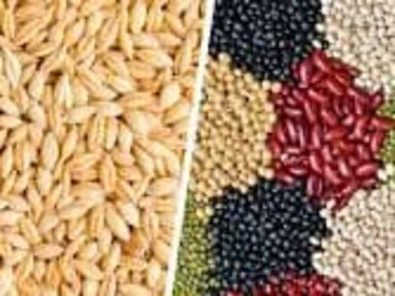 Cover image for Crop Bidding Project