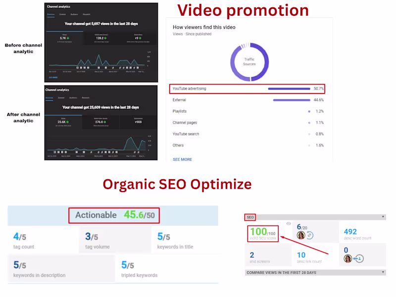 Cover image for SEO and google ads expert