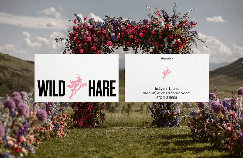 Cover image for Wild Hare