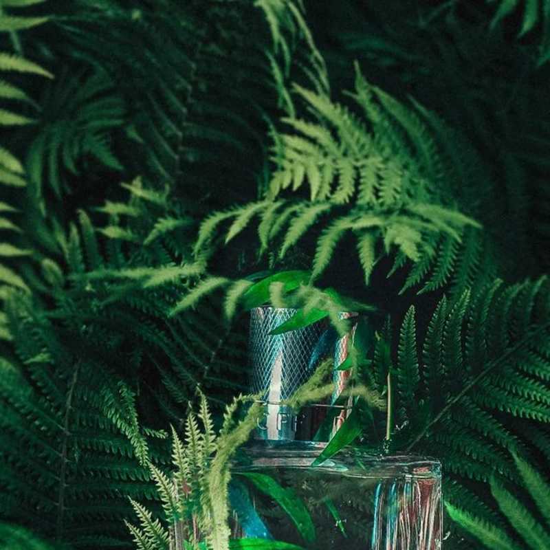 Cover image for "🦁In the jungle, the mighty jungle"