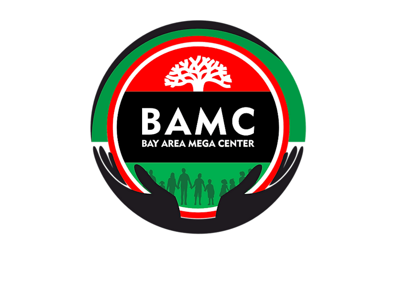 Cover image for The Bay Area Mega Center Brand Refresh