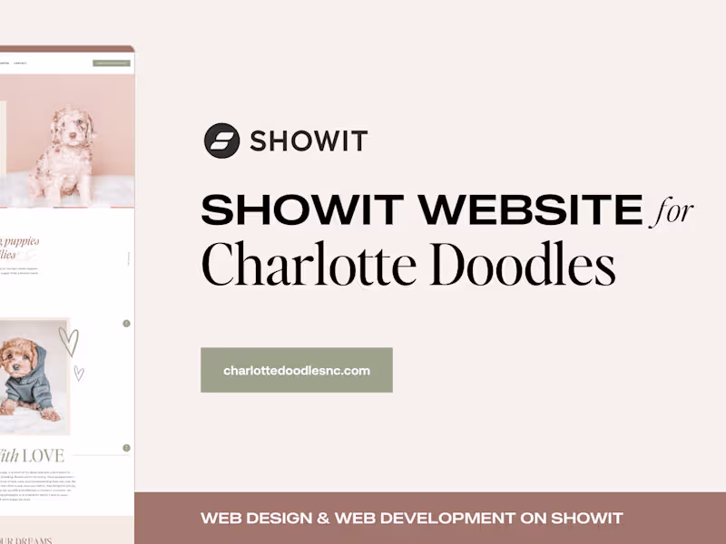 Cover image for Feminine Showit Website Design | Charlotte Doodles