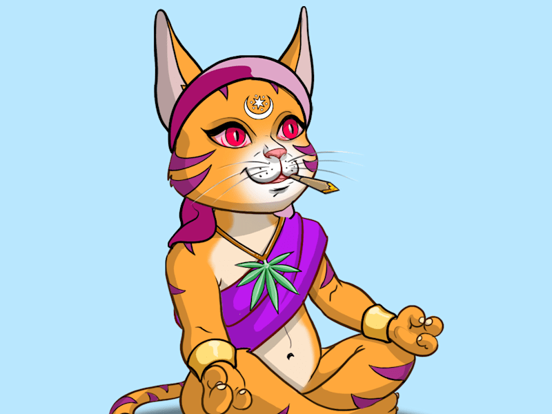 Cover image for Mooncatz NFT Website Build
