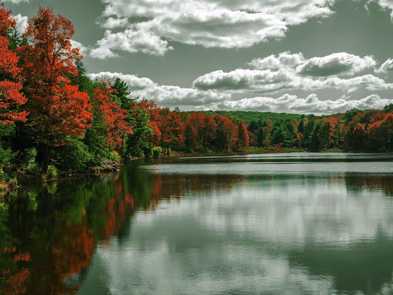 Cover image for Black Moshannon Solar