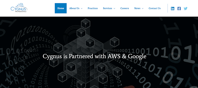 Cover image for Cygnuspro Business website