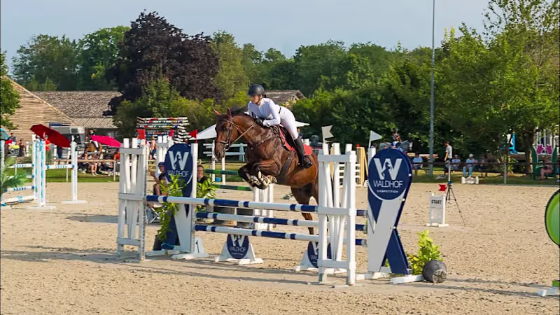 Cover image for Waldhof Equestrian Center - Teaser Video