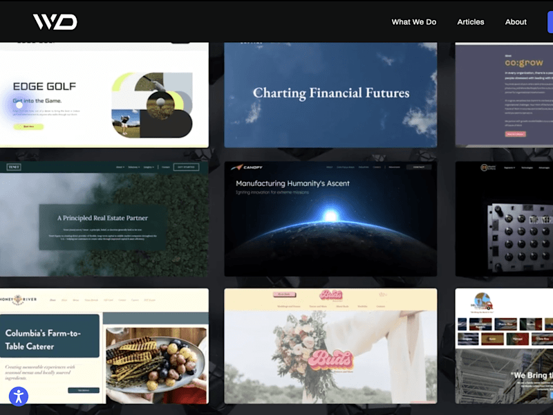 Cover image for Website Design and Development