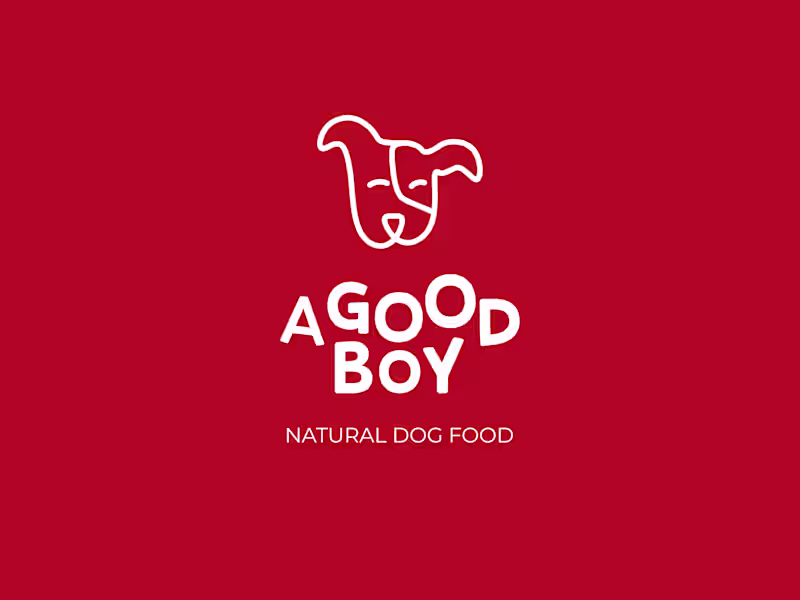 Cover image for A Good Boy