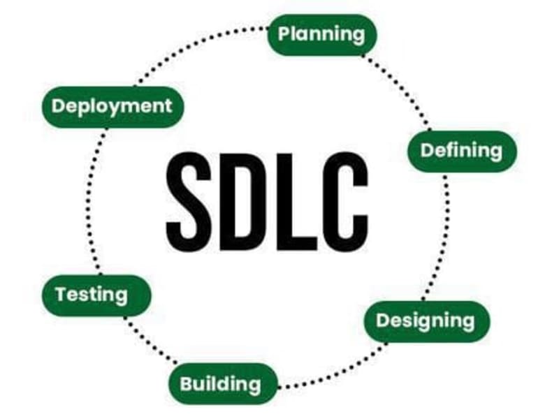 Cover image for Software Developer