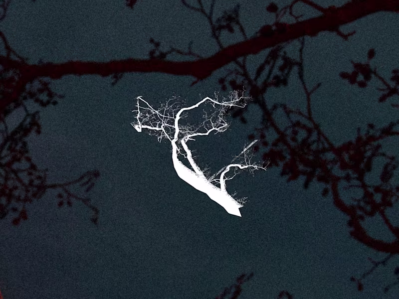 Cover image for Henri ‘Rakkaus’ Artworks and Videos